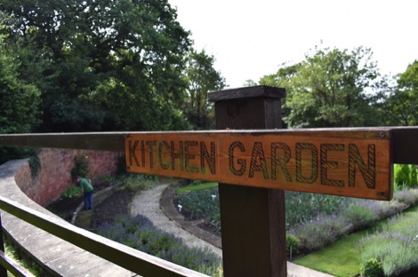 Ringwood Hall kitchen garden